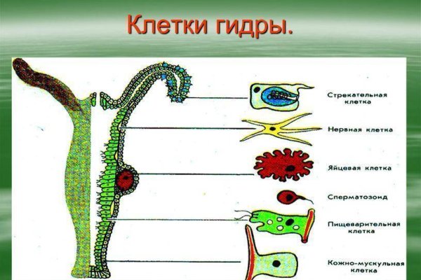 Кракен шоп интернет