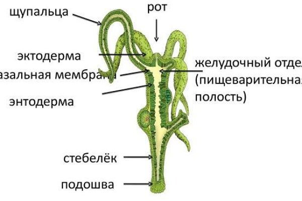 Кракен торговая